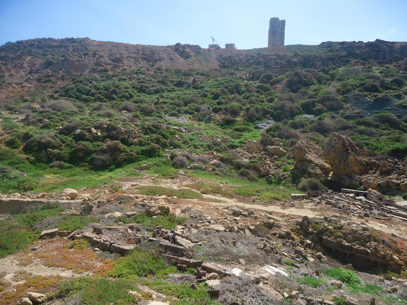 ORAN AUTOUR DE LA TEJERA PAR NOEL LOPEZ DE LA TRINITE SUR MER (18).jpg